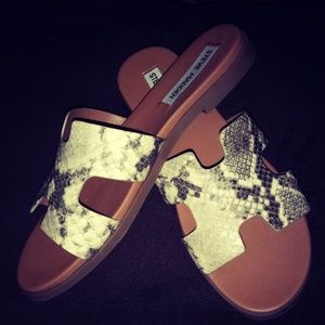 Steve Madden "Greece" Snake Slide